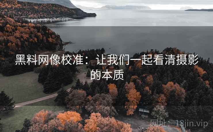 黑料网像校准:让我们一起看清摄影的本质